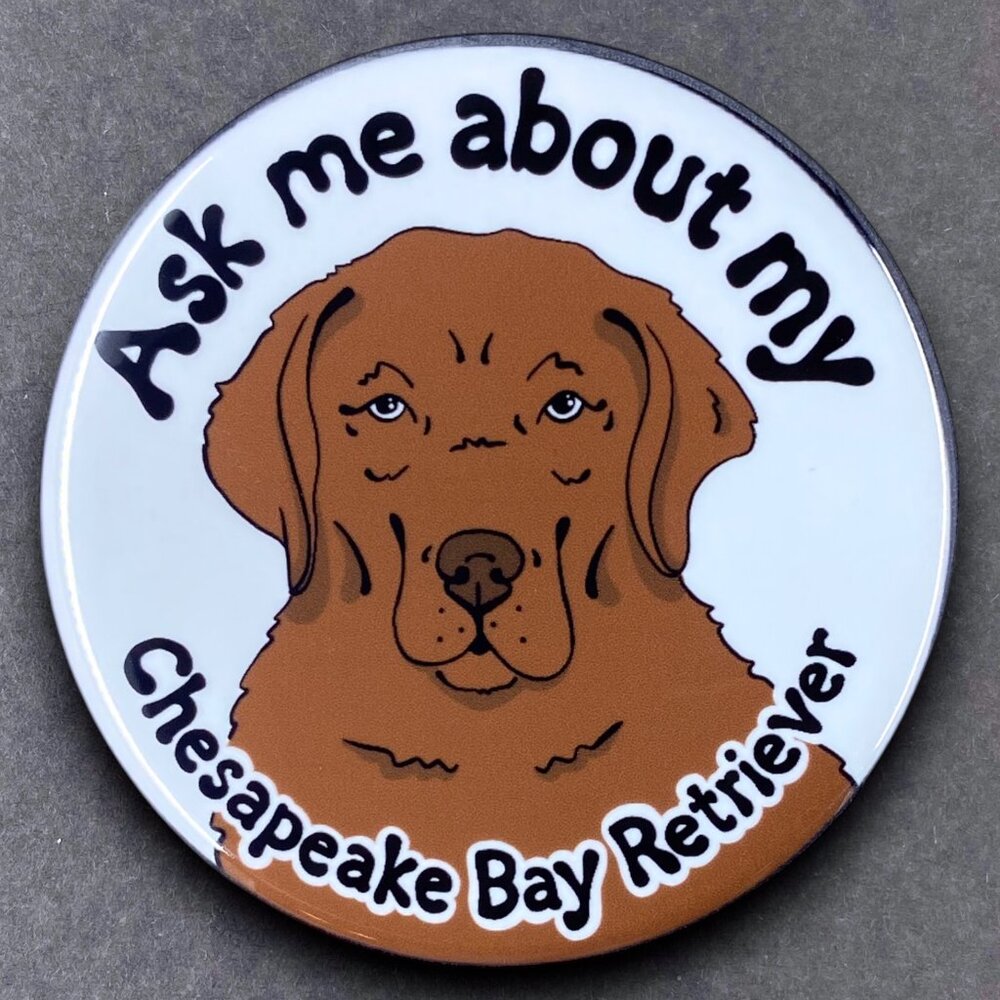 Chesapeake Bay Retriever Pin, Magnet, Keychain, Bottle Opener or Mini Ornament